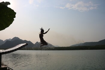 phong nha