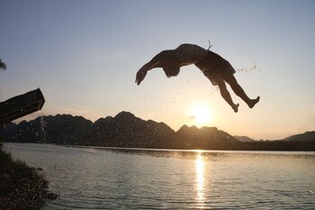 phong nha