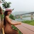phong nha