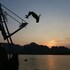 phong nha