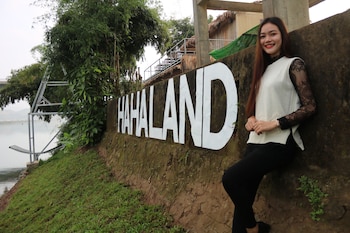 phong nha