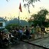 phong nha