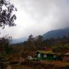 rangli