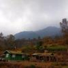rangli