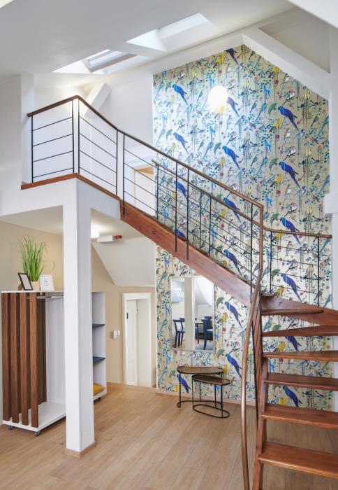 city nest apartments by adrez living