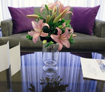 xpress by smallville