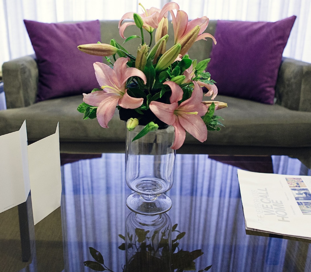 xpress by smallville