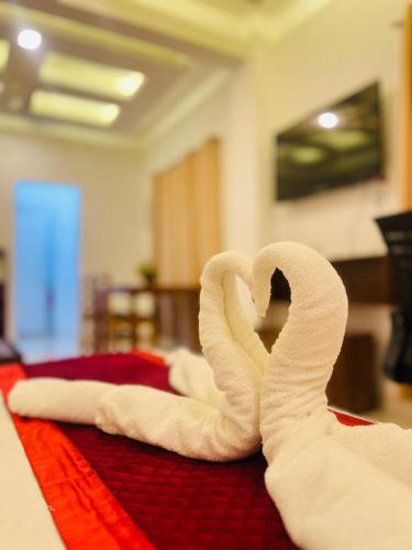 dana residency by d2v