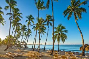 Hilton La Romana All Inclusive Adult Resort,Near Bayahibe Beach,5 star