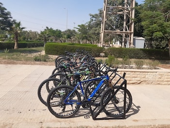 assiut