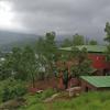 medha