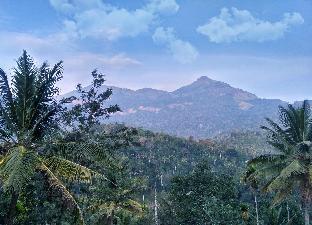 Mystique Resort,Near Dreamland Children Park,4 star