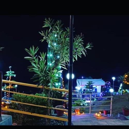 Heaven's Retreat,In Solan,2 star