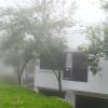 pearwoods