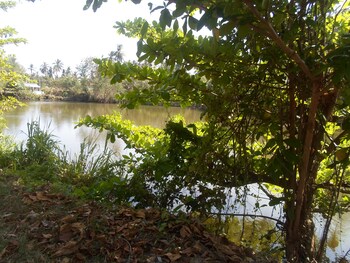 tangalle