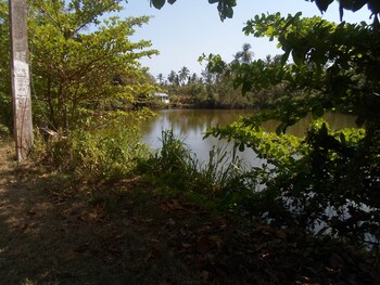 tangalle
