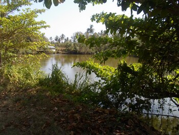 tangalle