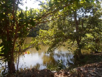 tangalle