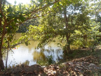 tangalle