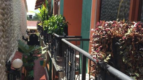 apartahotel tierras amazonicas