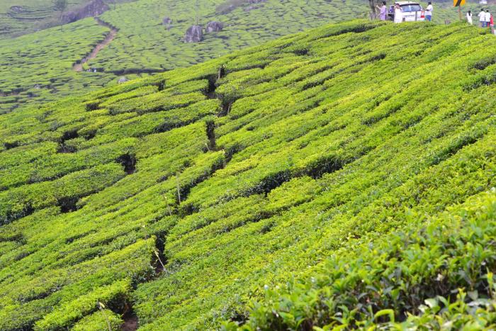 munnar