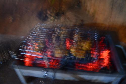 arabian nights munnar