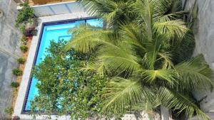 arugam bay