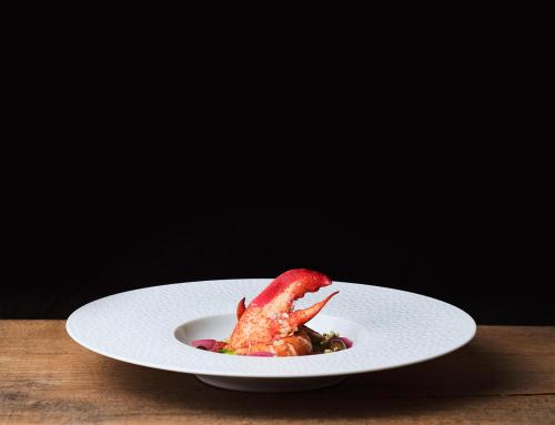 the sense experience resort