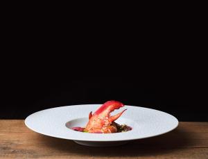 the sense experience resort