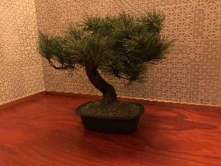 santiago guesthouse naha hostel