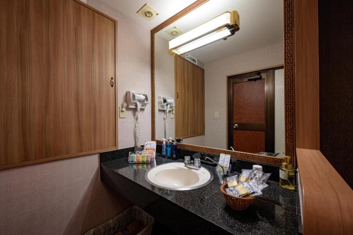 hotel metro adult only