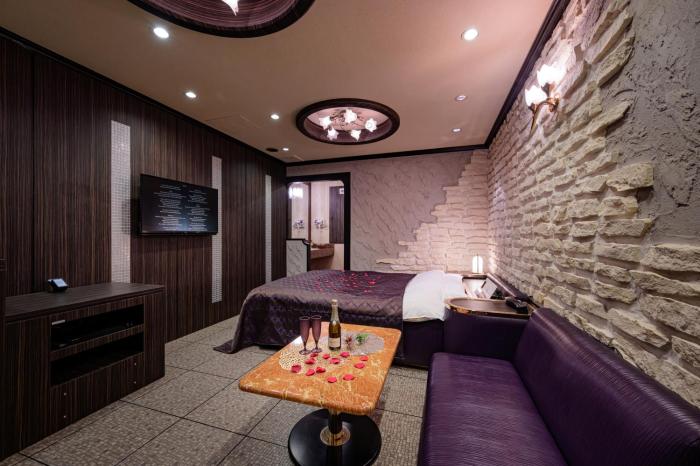 hotel metro adult only