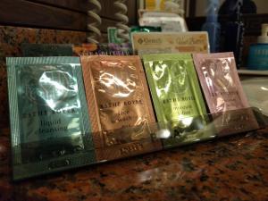 hotel metro adult only