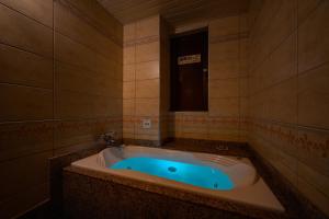 hotel metro adult only