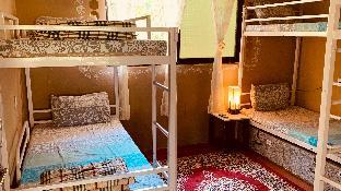 rootsvilla hostel goa