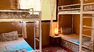 rootsvilla hostel goa
