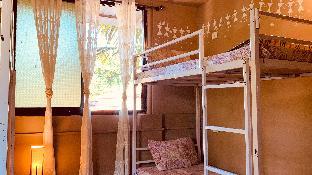 rootsvilla hostel goa