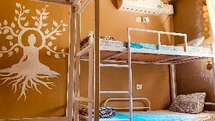 rootsvilla hostel goa