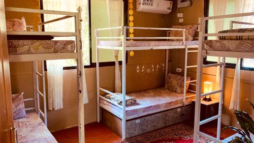 rootsvilla hostel goa