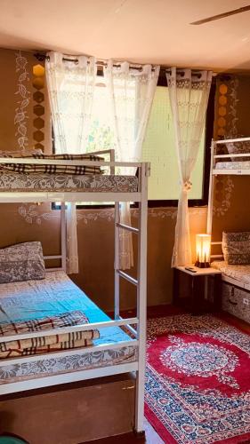 rootsvilla hostel goa