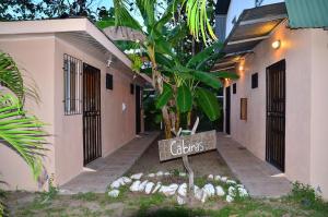 mapis cabins