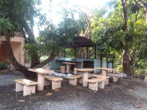 mapis cabins