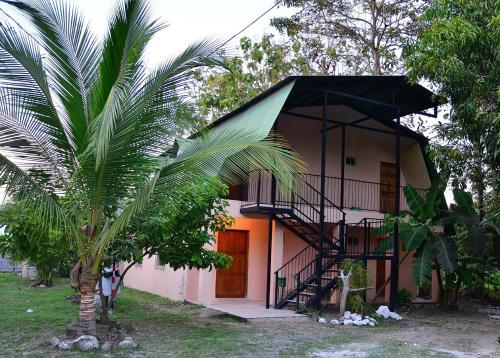 mapis cabins