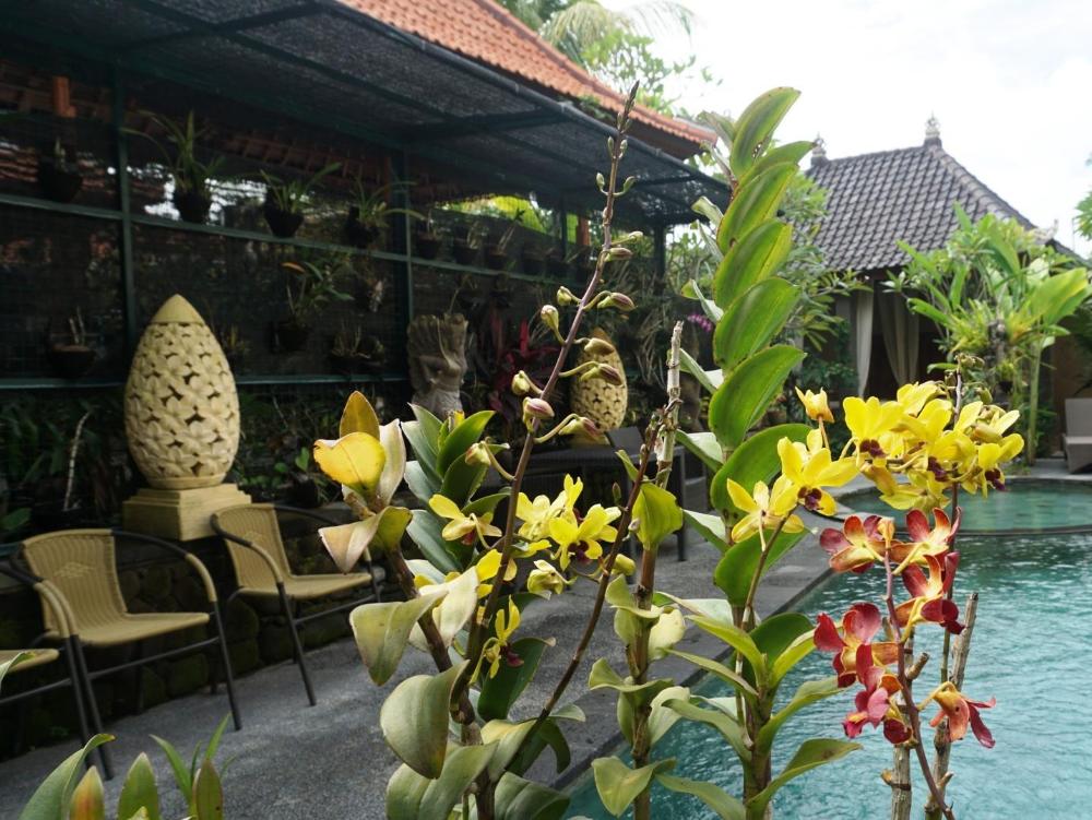 villa cilinaya ubud