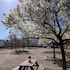 lakeview motel