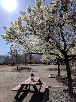 lakeview motel