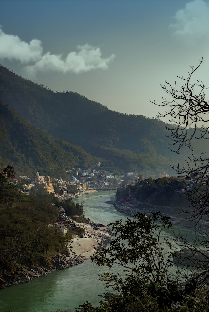 the roseate ganges