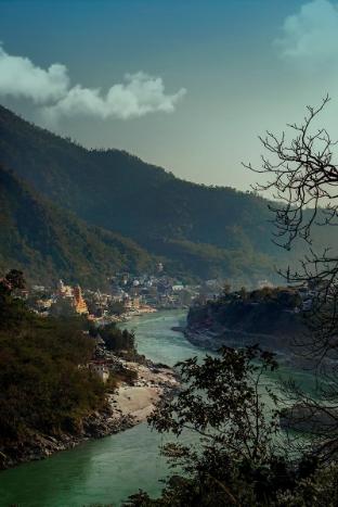 the roseate ganges