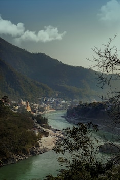 the roseate ganges