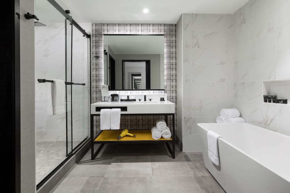 hyatt centric mountain view